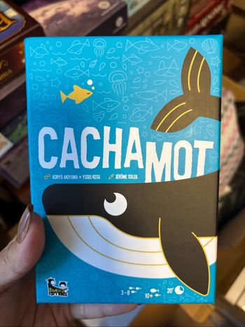 Jeux caché à mot