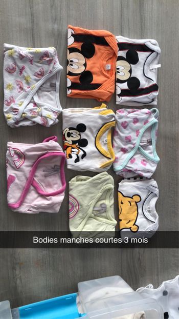Lot bodies manches courtes