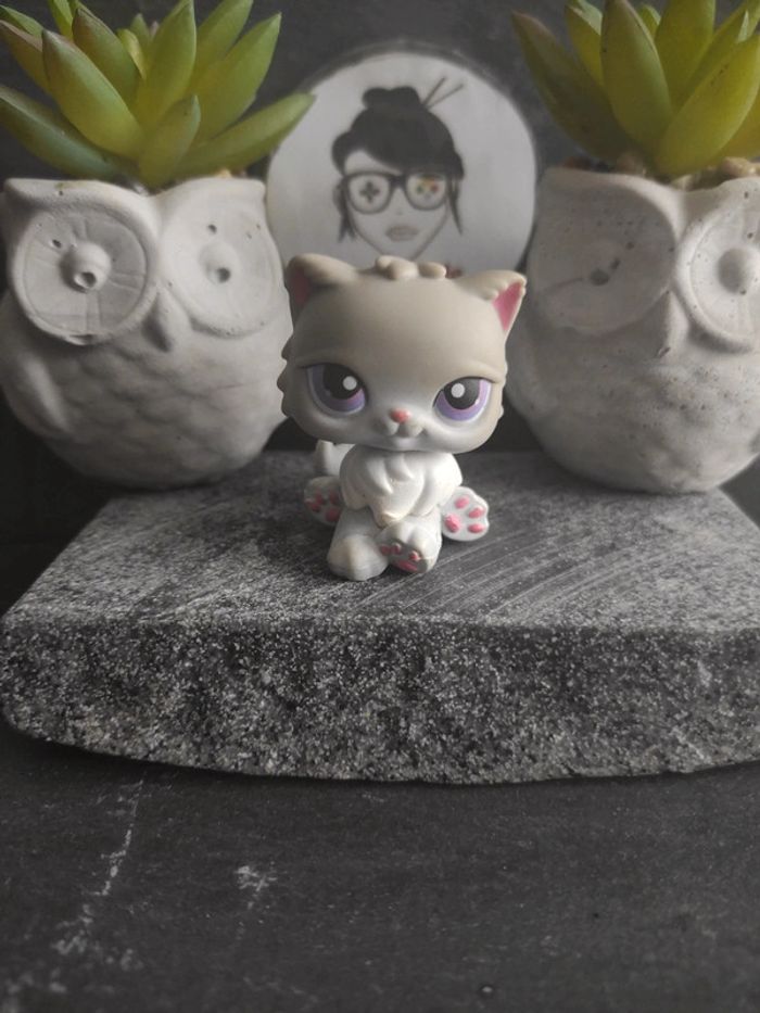 My Littlest Petshop LPS Pet Shop chat persan 251 cat #geektradelpschat