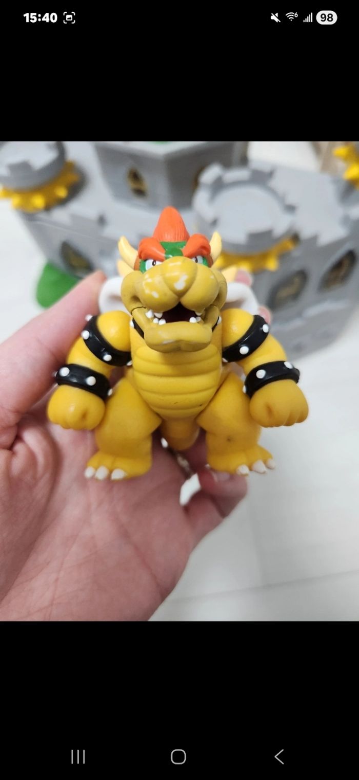 Chateau et bateau bowser - photo numéro 8