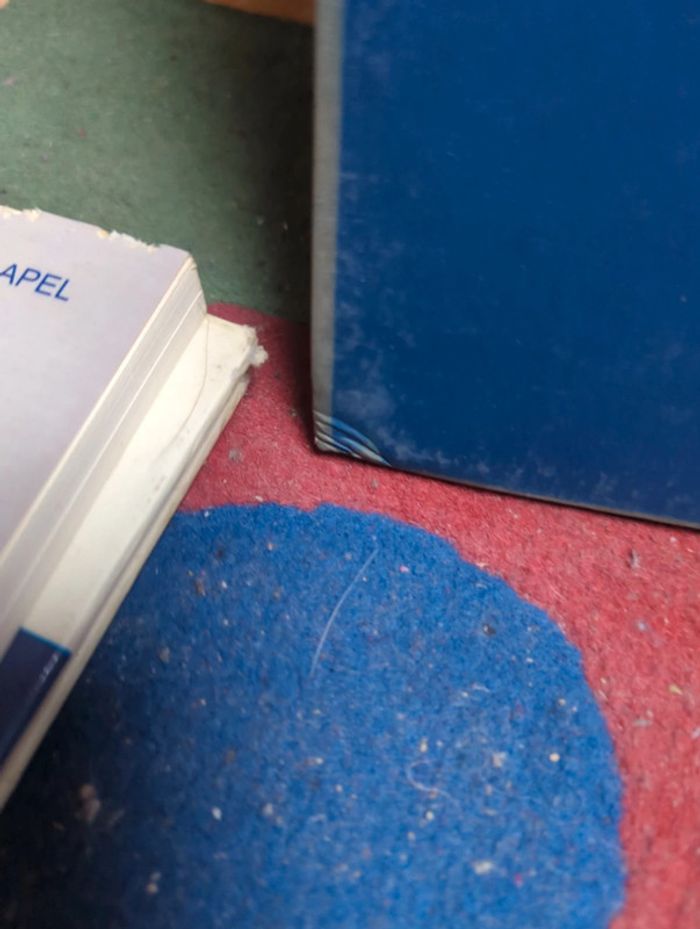 Le grand livre de la marine - photo numéro 7