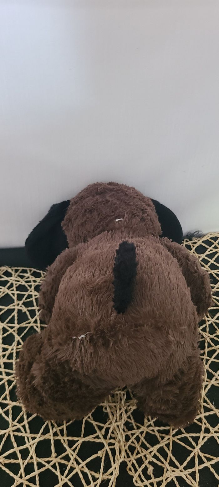 Chien blanc marron aux oreilles noires - photo numéro 3