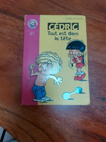 Livre cedric tout est dans la tête