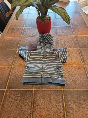 Gilet zippé à capuche