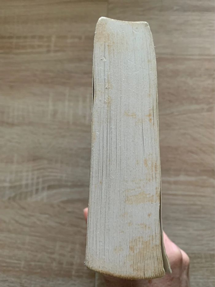 Ils sont votre épouvante et vous êtes leur crainte - photo numéro 7