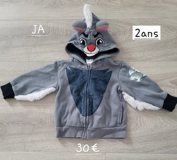 Veste Roi Lion