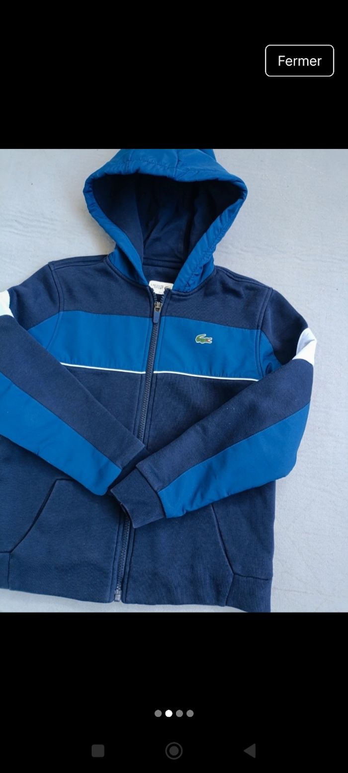 Gilet veste lacoste - photo numéro 2