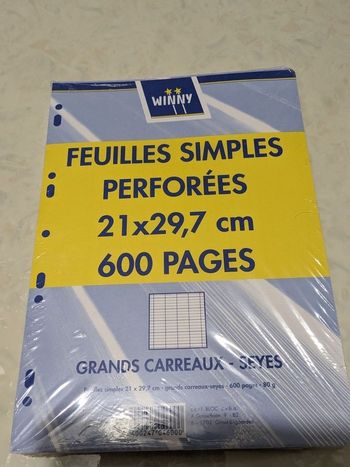 Lot de 600 feuilles simples perforées 21x29,7 cm