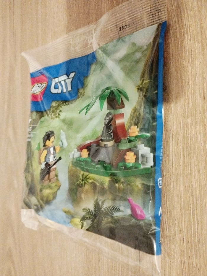 LEGO 30665 La rencontre avec le bébé gorille - photo numéro 3