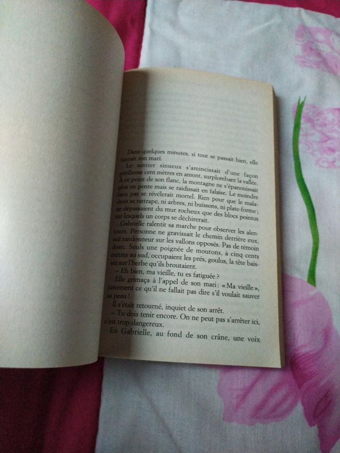 La rêveuse d'Ostende d'Eric-Emmanuel Schmitt - photo numéro 7