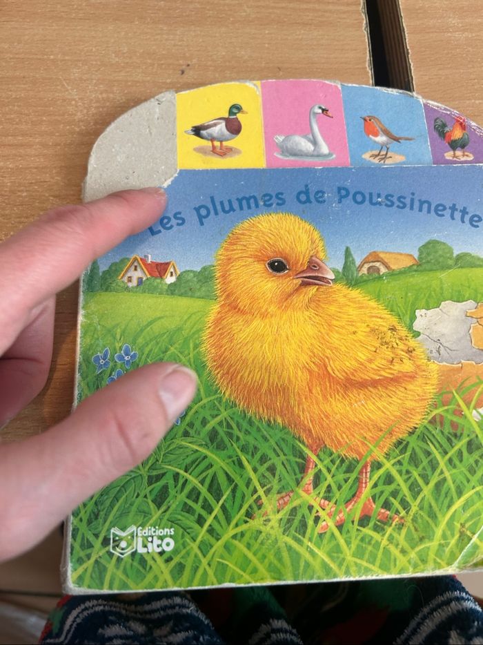 lot de livre +25 livres - photo numéro 5