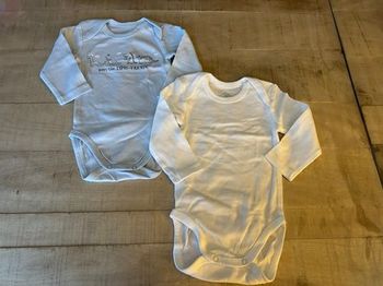Lot 2 bodies 