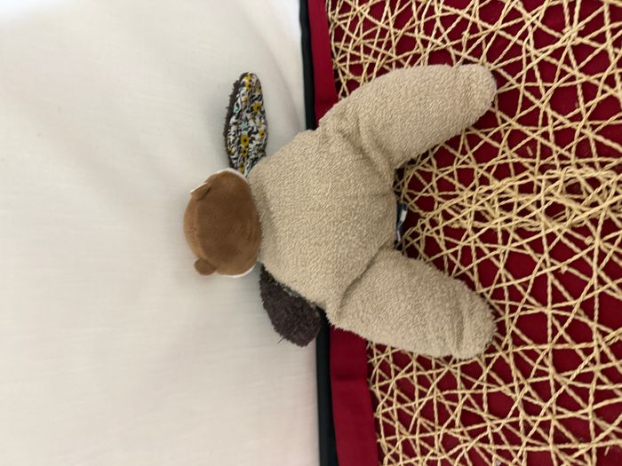 doudou renard - photo numéro 2