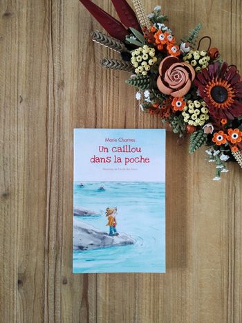 Un Caillou dans la poche - Niveau CM1 - Marie Chartres