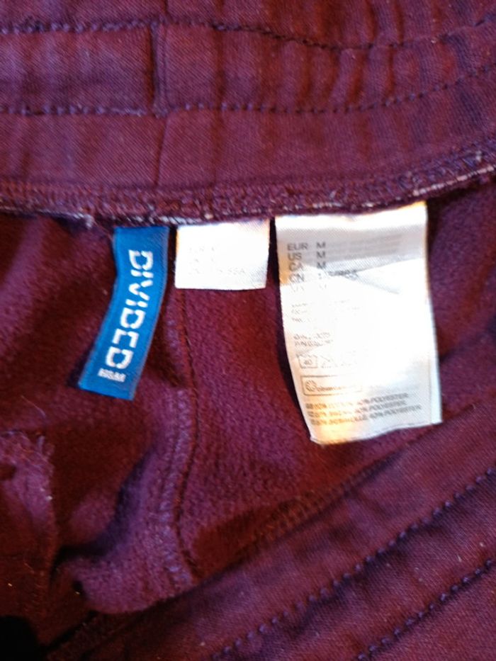 Short divided - photo numéro 3