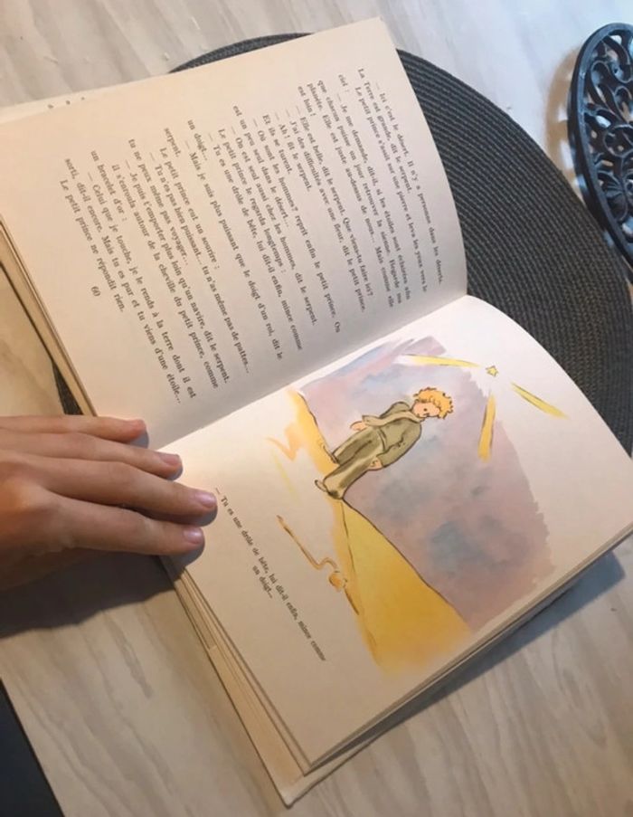 Rare Le petit prince Antoine de saint exypery édition collection - photo numéro 5