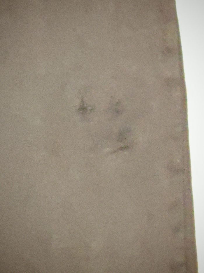 Lot de 2 jogging - photo numéro 5