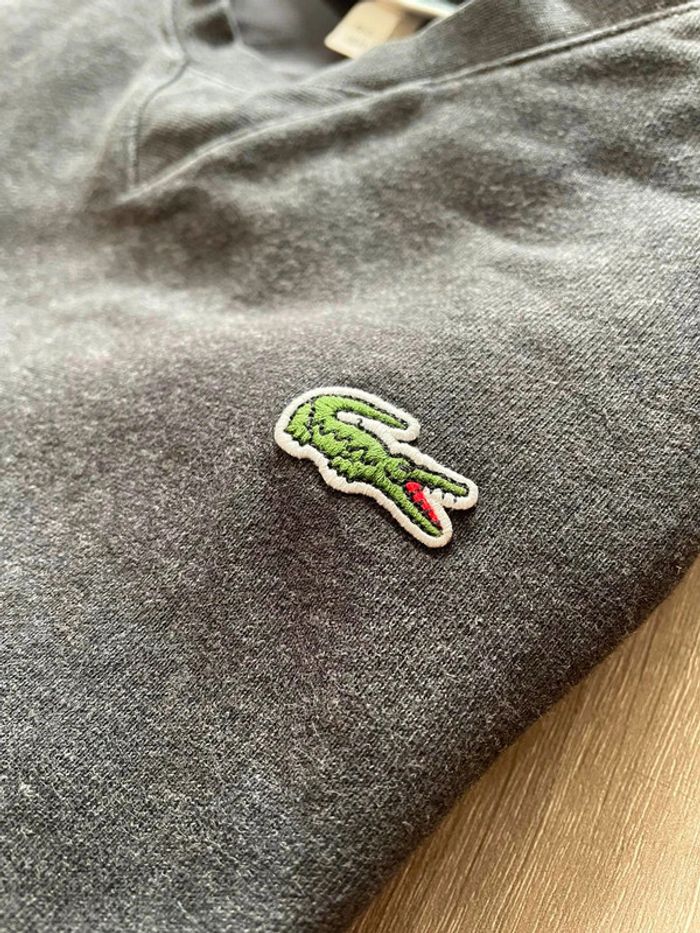 Sweat Lacoste Gris Anthracite | FR 4 | US M - photo numéro 3
