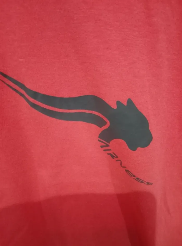 T-shirt manches courtes - Fille 12 ans - photo numéro 2
