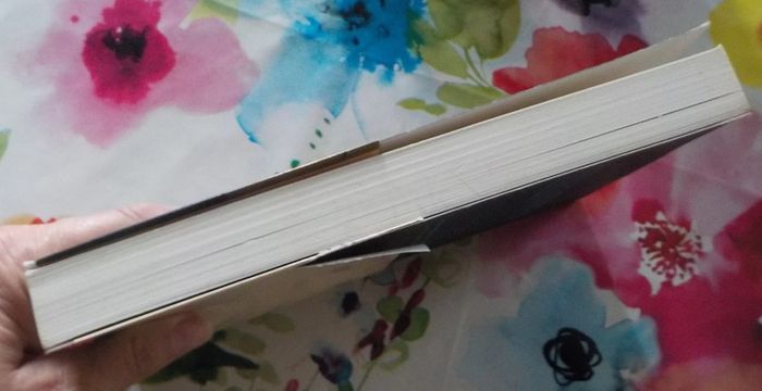 Garbo de Guillaume de Fonclare Ed. Stock - photo numéro 7