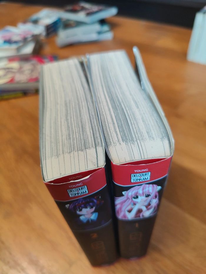 Elfen lied 2 tomes - photo numéro 2