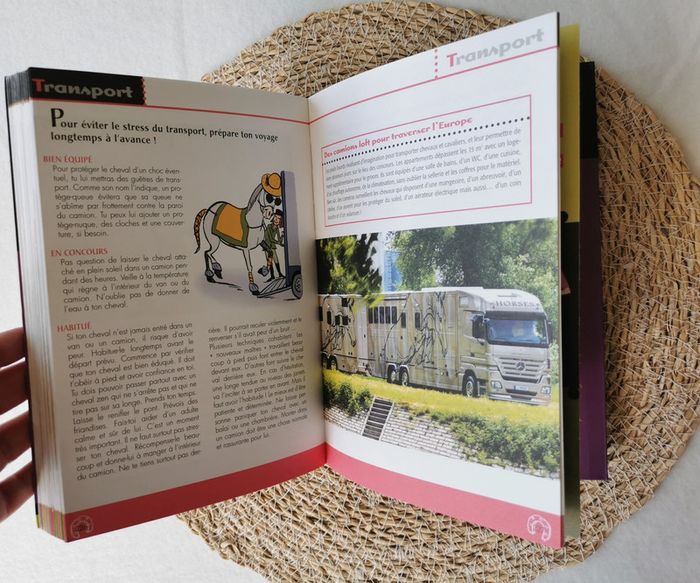 L'encyclopédie 🐴 de la cavalière qui veut tout savoir ! - photo numéro 9