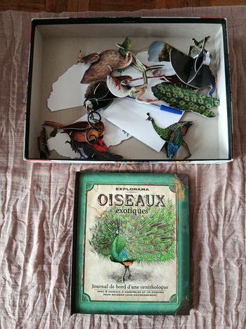 Livre sur les oiseaux exotiques