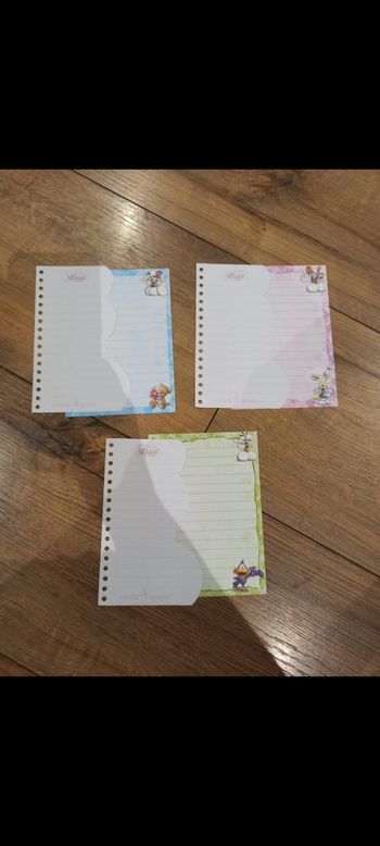 Lot de 3 feuilles Diddl is back carnet spirale