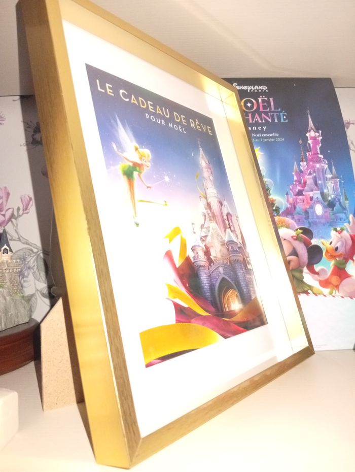 Cadre Le Cadeau de rêve Disneyland Paris - photo numéro 4