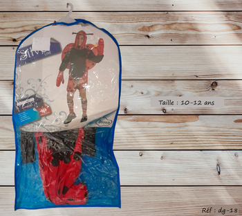  Déguisement coccinelle 10 ans - neuf (dg-18)