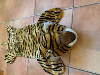 descente de lit tigre