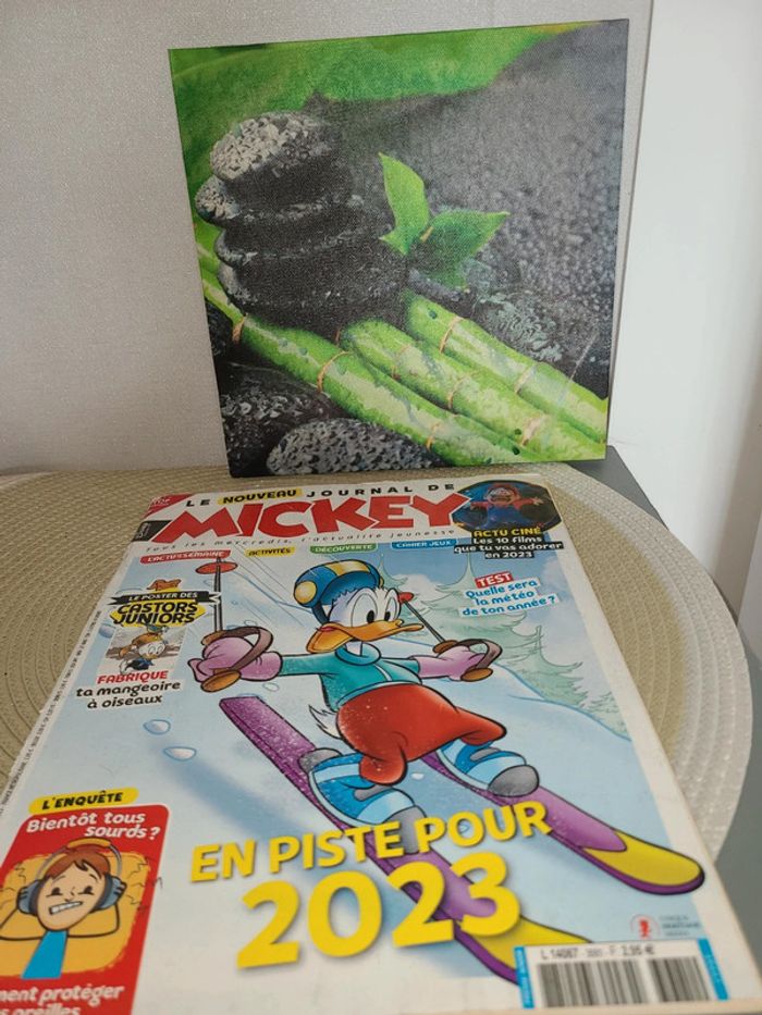 Livre Le Journal de Mickey - photo numéro 4
