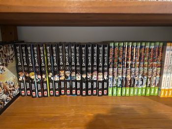 Lot manga demon slayers