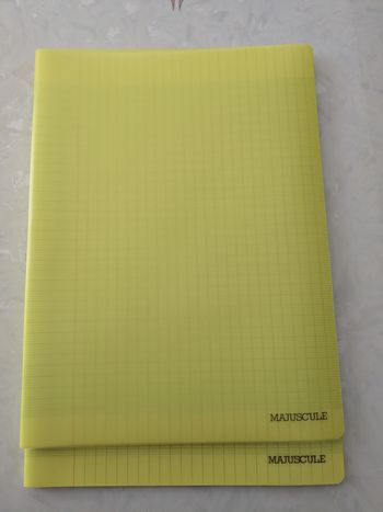 Lot de 2 cahiers Majuscule 96 pages grands carreaux et grand format. 