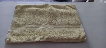 Serviette de toilette