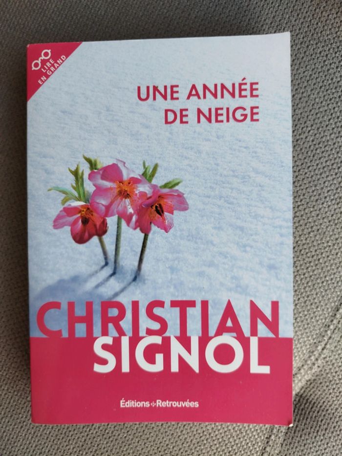Livre une année de neige