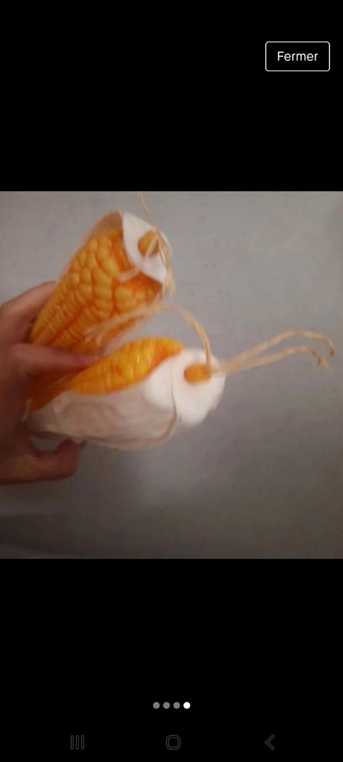 2 grand épi de mais taille réelle - photo numéro 3