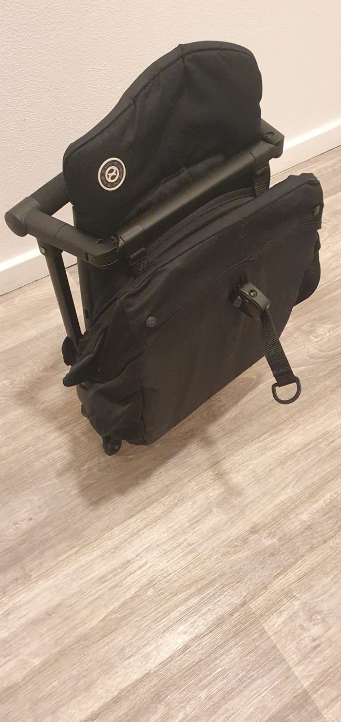 Libelle - photo numéro 3