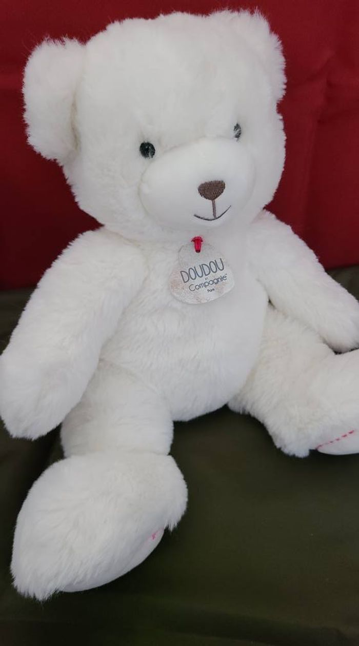 doudou ours - photo numéro 4