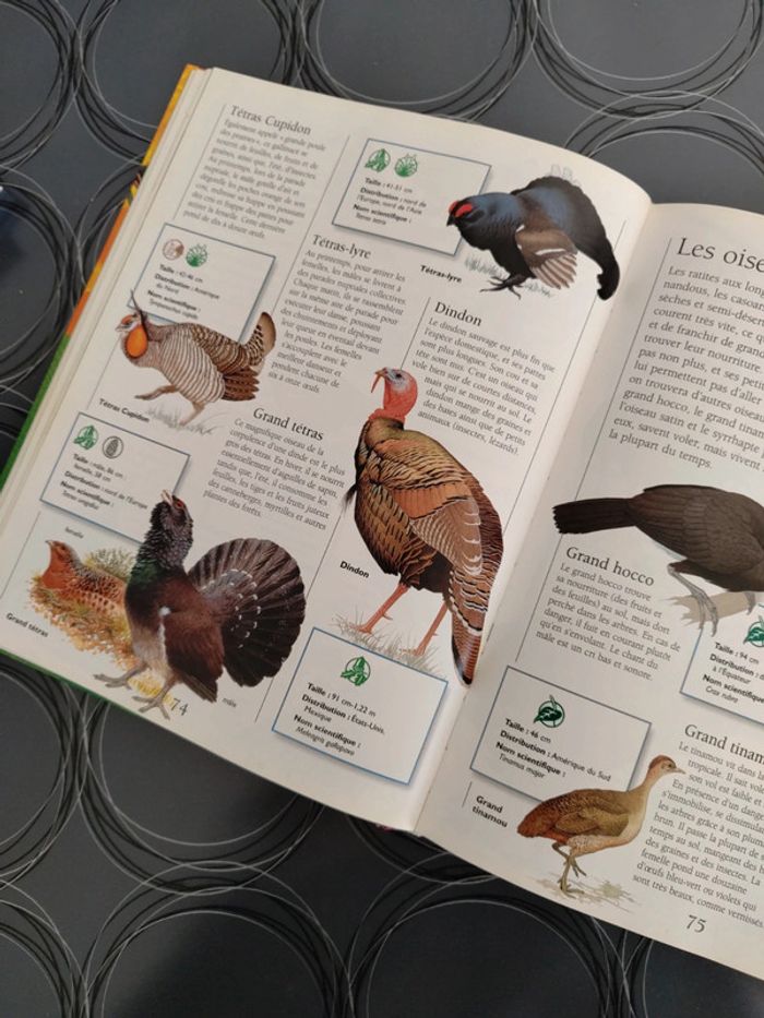 Larousse Junior des Animaux en excellent état - photo numéro 6