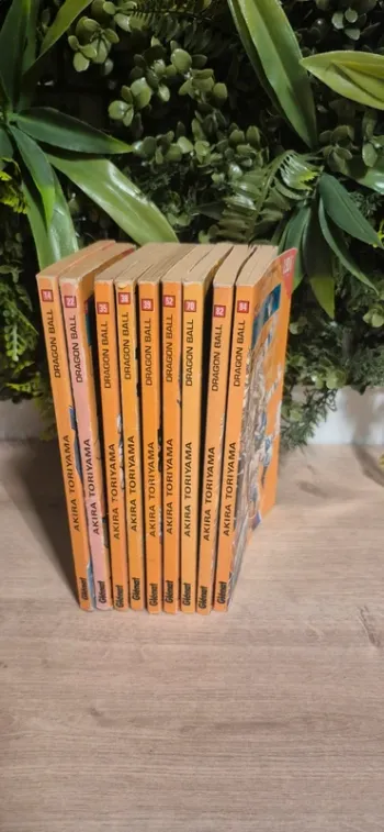 Ancien manga dragon ball