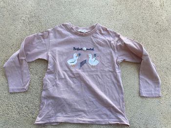 Tee shirt mango rose