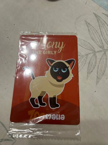 magnet zoomalia Mony