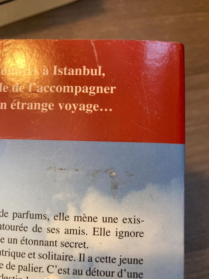 L’étrange voyage de Monsieur Darly - photo numéro 3