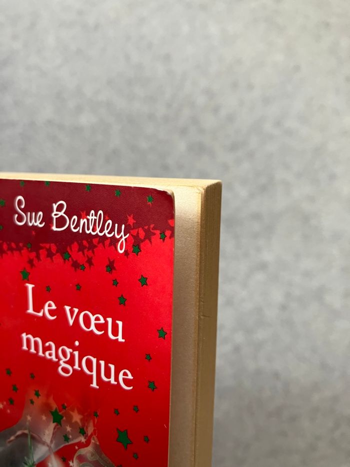 Lot de 2 livres jeunesse PKJ à partir de 7 ans (2€20) - photo numéro 9
