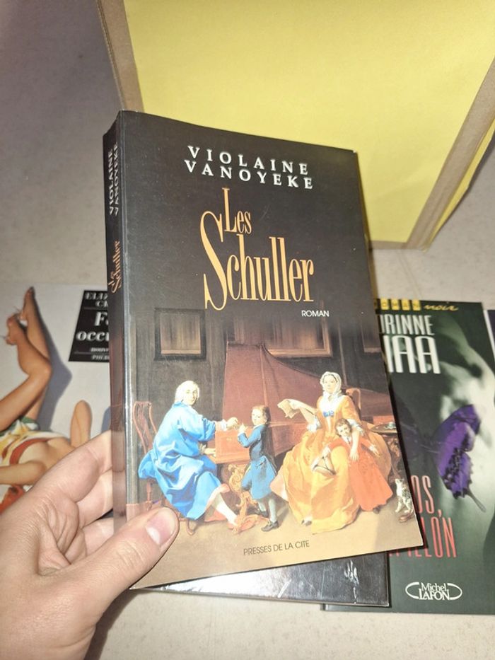 Livre les schuller roman