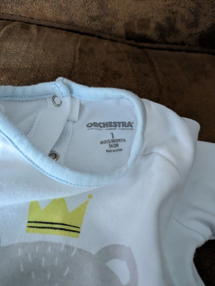 Ensemble orchestra - photo numéro 3