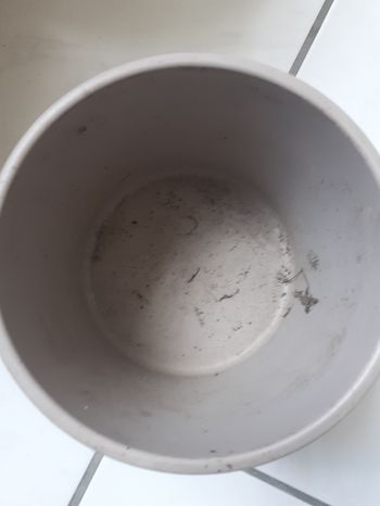 Cache pots beige