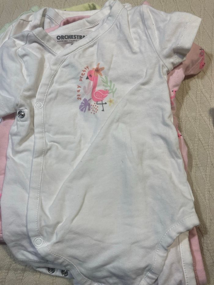 9 bodys  6 mois - photo numéro 2