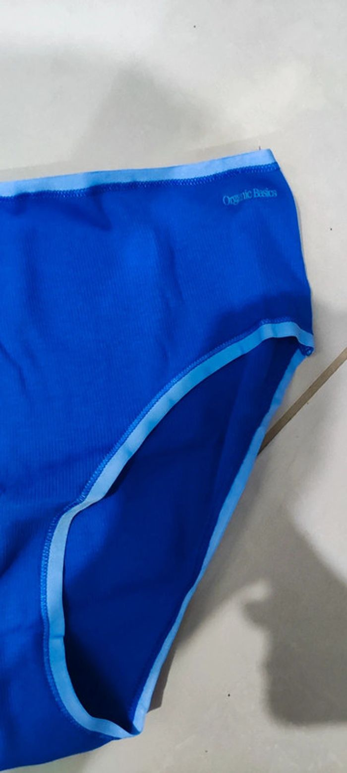 Culotte Organic basics bleu roi bi-color - photo numéro 3